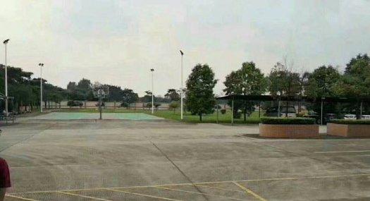 东莞市茶山花园式原房东独门独院出租 合同十年