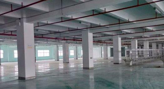 凤岗花园式独院厂房出租楼上7000平适合电商贸易电子行业