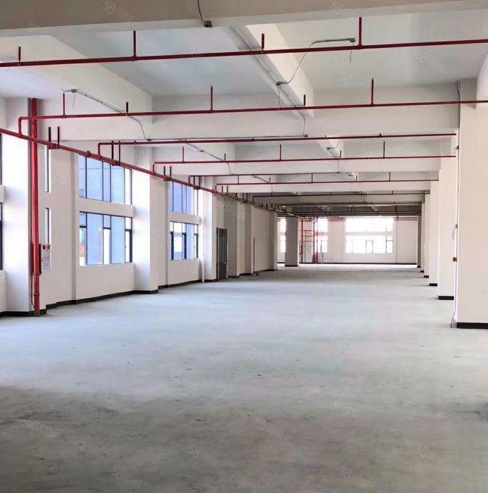 南城花园式 独院 厂房出租10000平方,可分租空地大