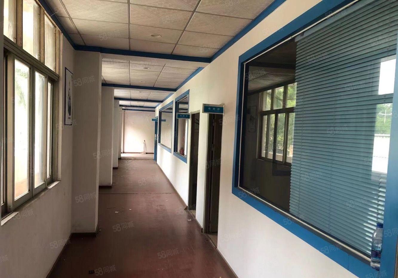 南城环城路边独院厂房出租2600平，形象好交通方便