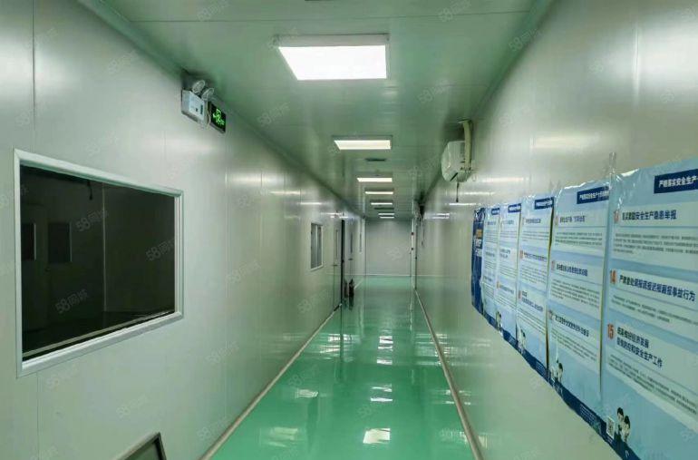 现成十万级豪华装修食品无尘车间2500平方