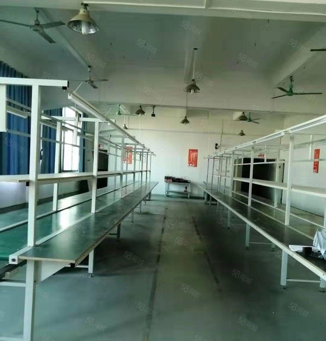 南城 白马 办公室,贸易，培训，电子商务场地分租400平方