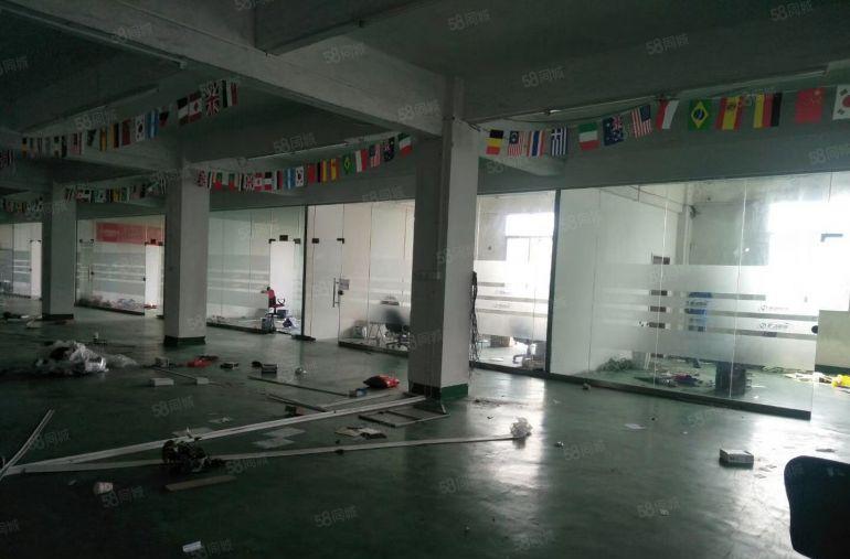 南城 厂房出租 一楼 800平方,价格便宜!急租