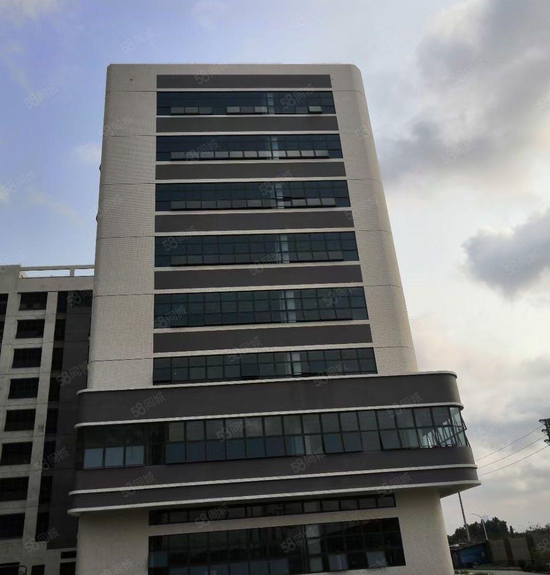 可分租！南城白马独院漂亮大厂房10000平，水电齐全，形象好