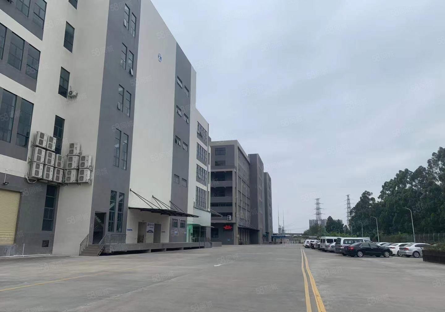 可分租！南城白马独院漂亮大厂房10000平，水电齐全，形象好