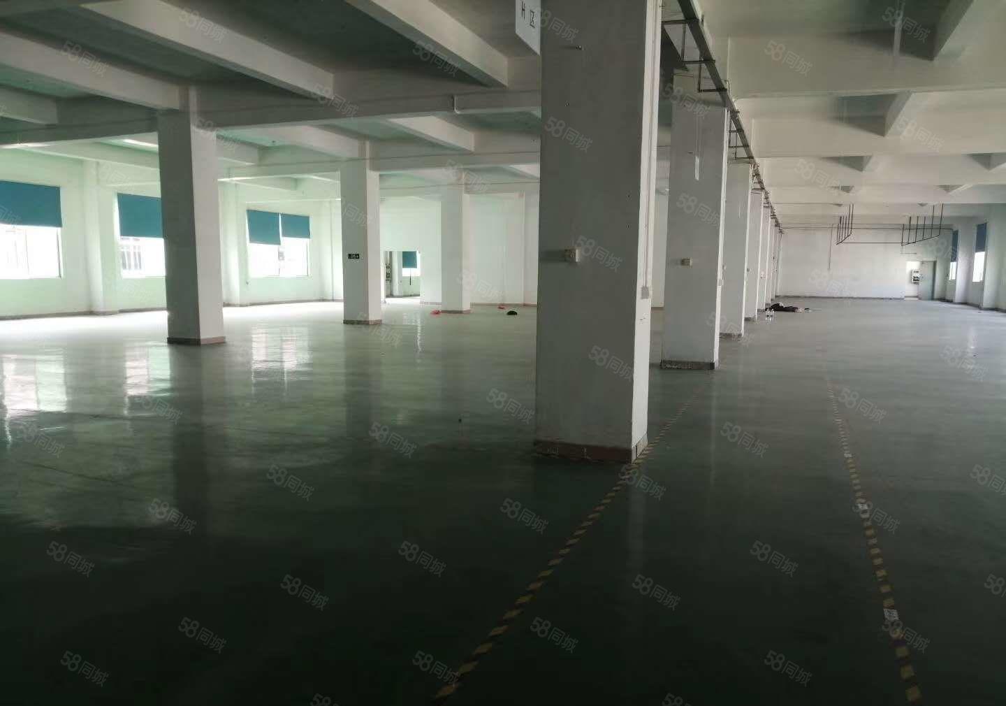 南城西平小面积厂房458平方，适合做仓库，贸易小加工，电商