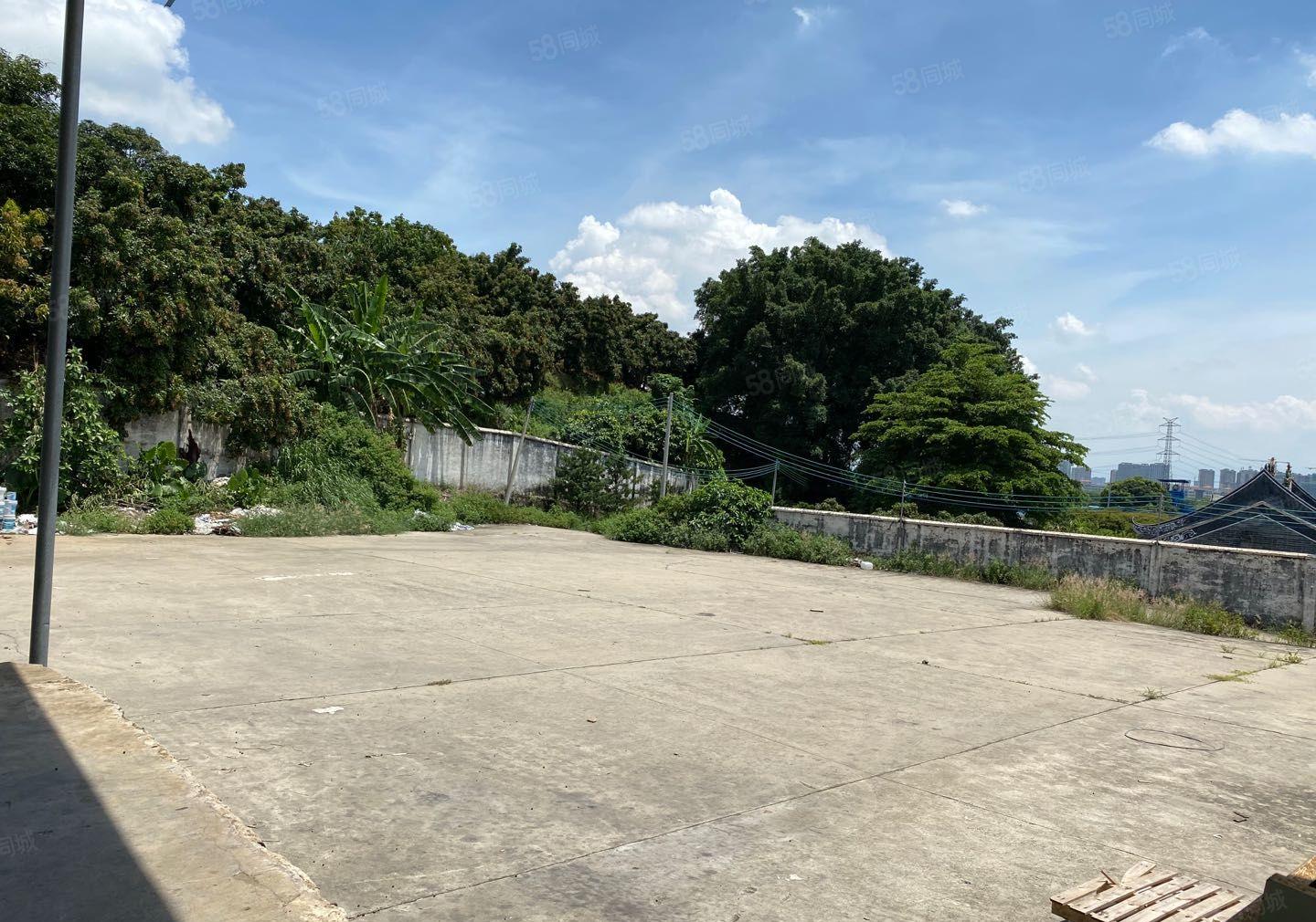 本地房东诚邀做文化旅游的老板，7000平，空地大环境优美