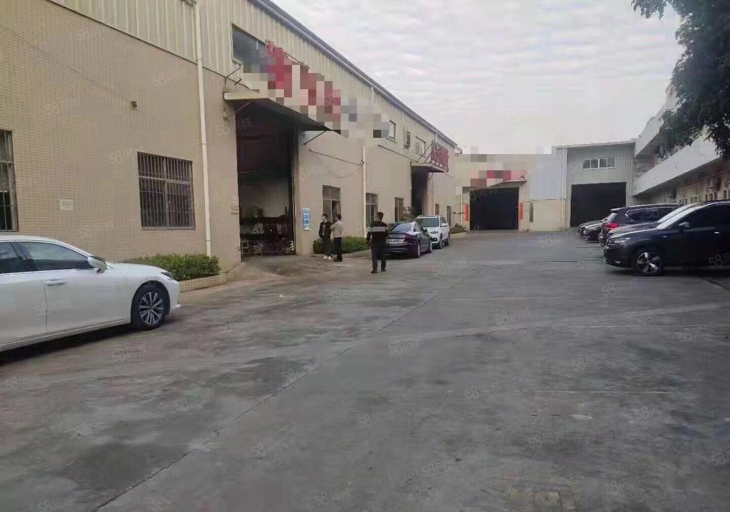 南城白马2600平方独门独院全新单一层低价出租