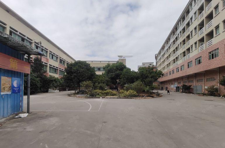 南城园区标准厂房分租 空地大 适合电子 仓库 展厅 维修等等