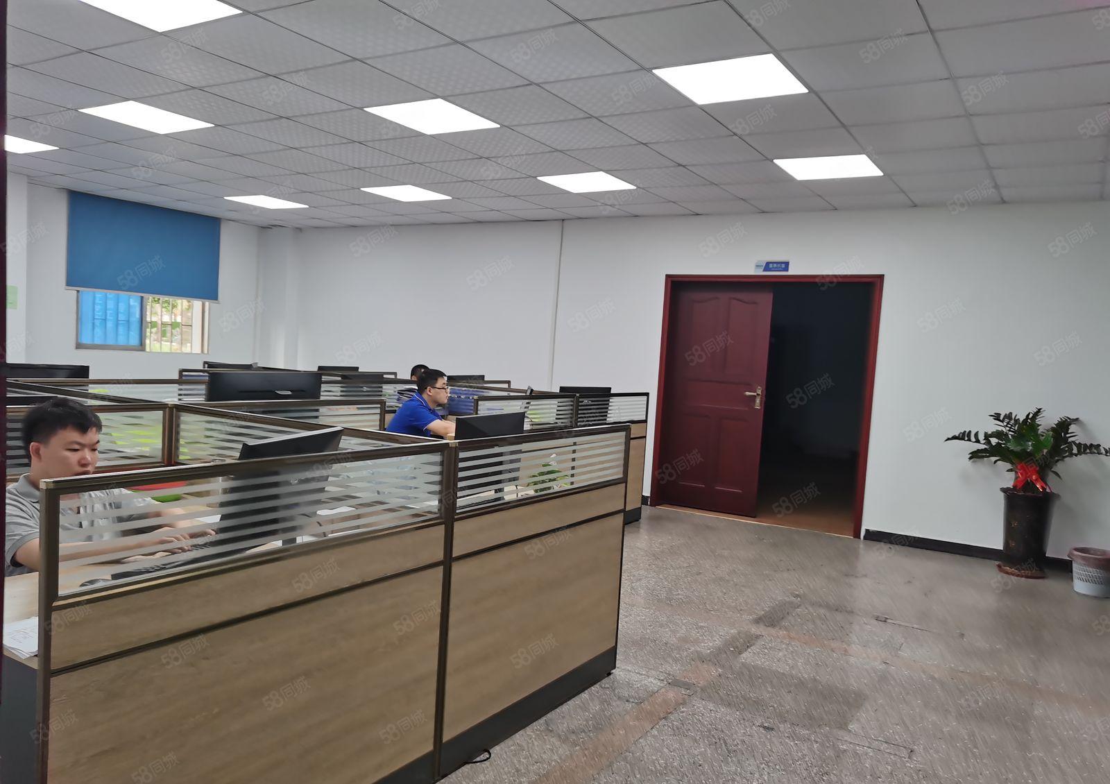 精装修厂房出租！南城蛤地原房东一楼800平，水电齐全