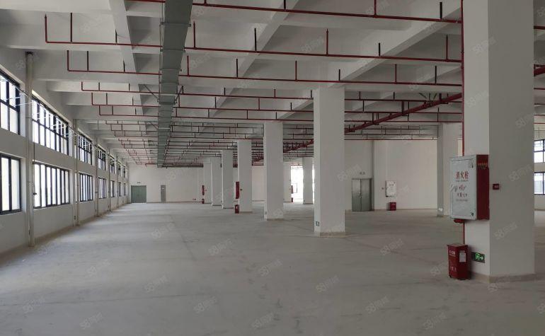 品牌新建工业园4万可分租全新带红本独栋厂房出租出门即主干道