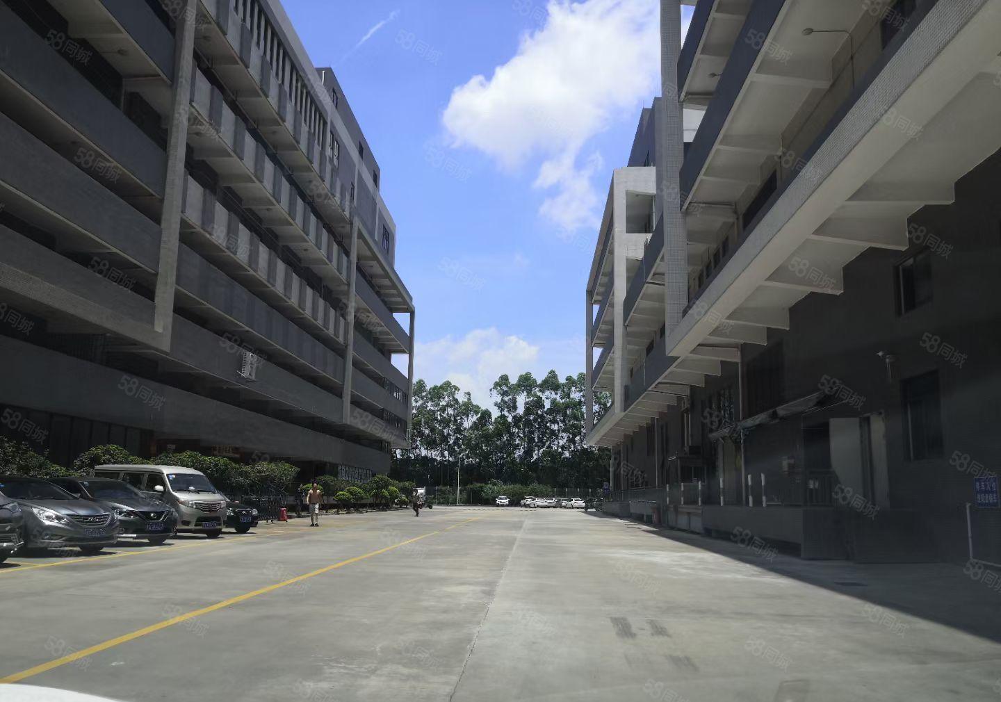 可分租！南城白马独院漂亮大厂房10000平，水电齐全，形象好