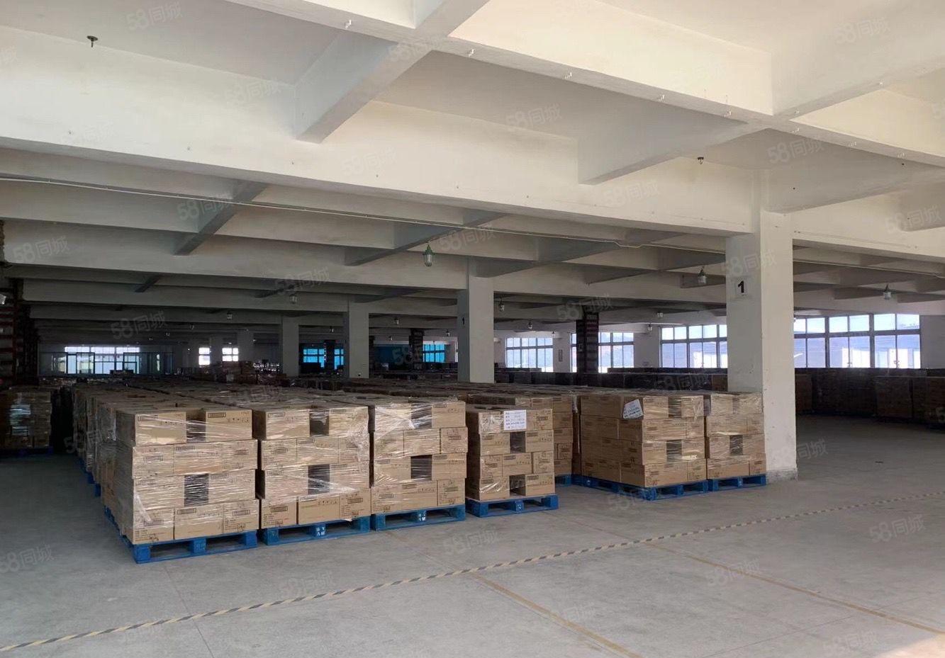 南城新出独院靓厂房，形象漂亮户型好用 适合各行业