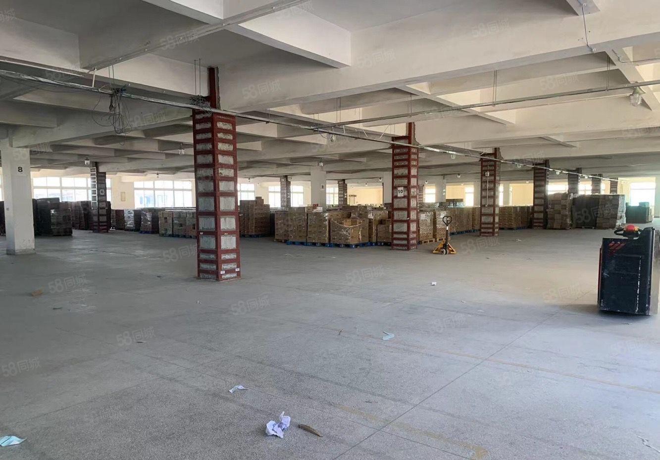 南城新出独院靓厂房，形象漂亮户型好用 适合各行业