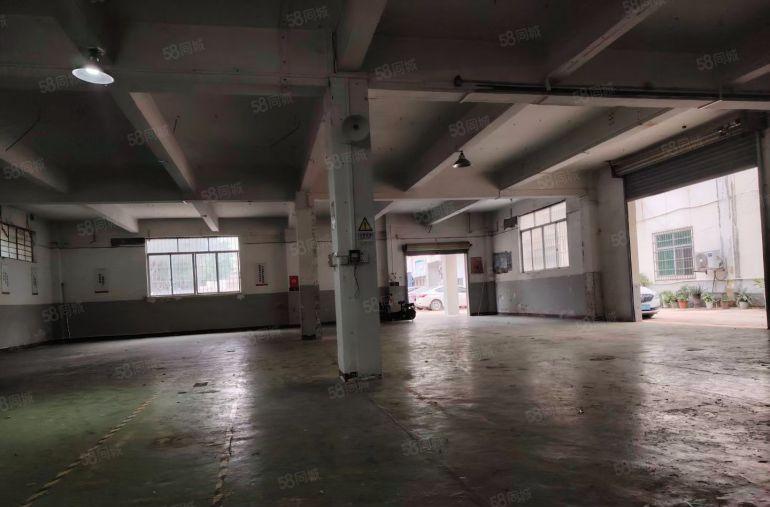 南城周溪标准一楼454平方厂房出租