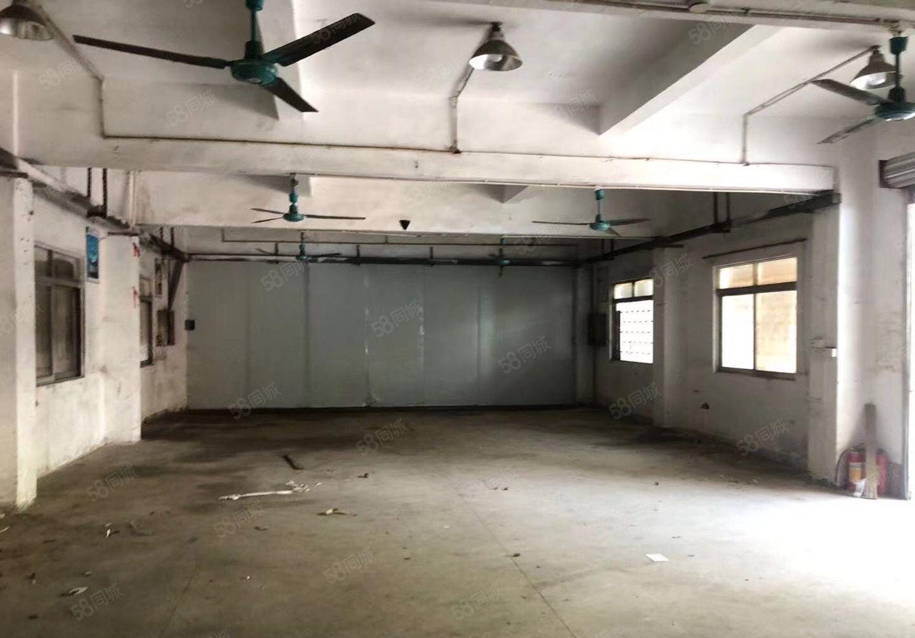 南城环城路边独院厂房出租2600平，形象好交通方便