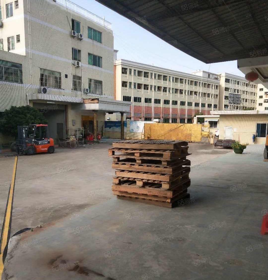 东莞南城新出标准物流仓库600平，交通便利