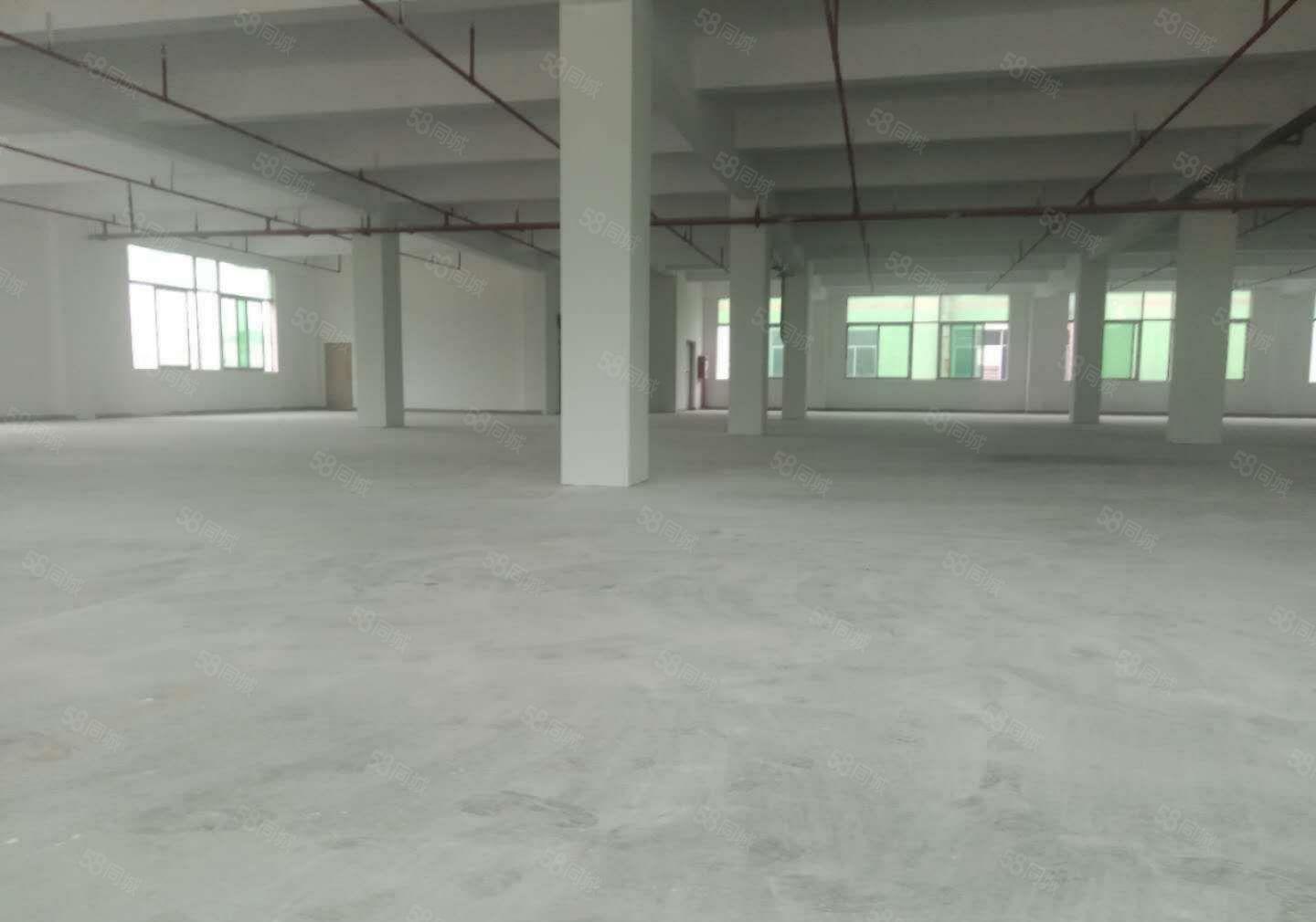 南城 独院 厂房出租 共5000平方，形象好