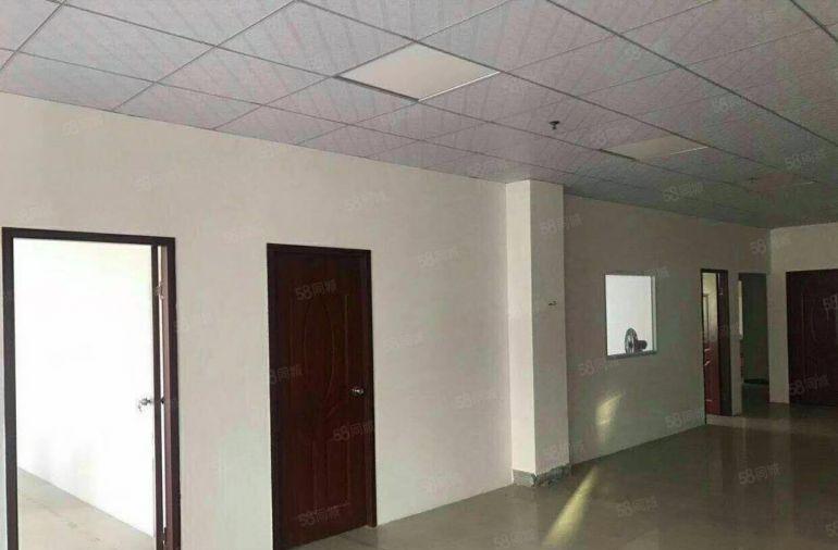 南城 白马 即将空出 二楼整层 600平方，精装修，九成新