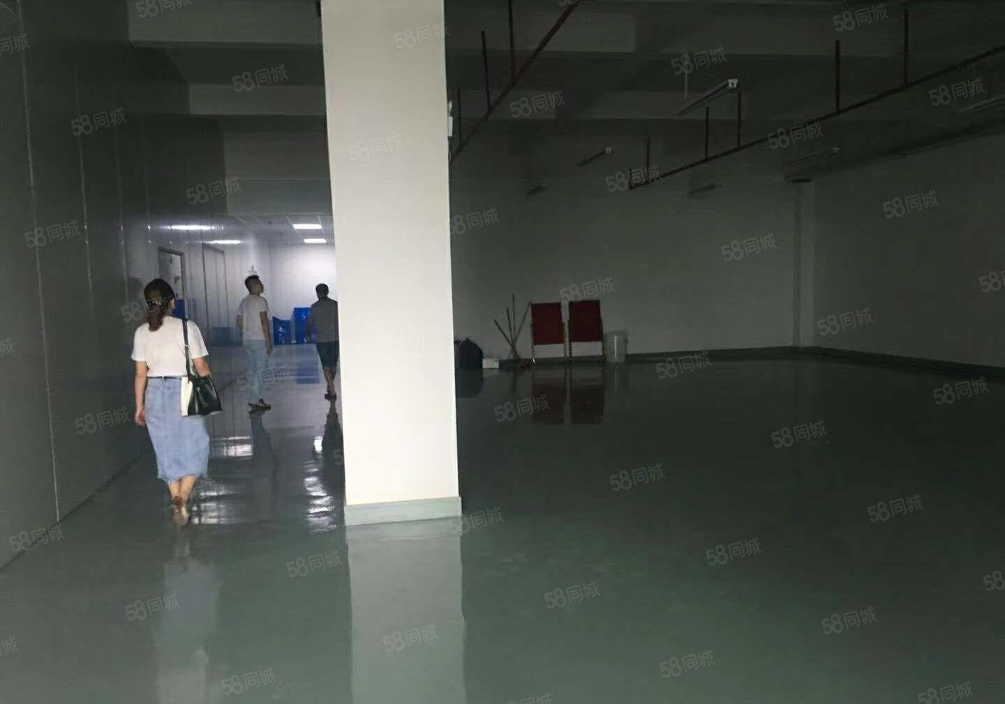 南城蛤地下周空出一楼厂房550平方，可做仓库