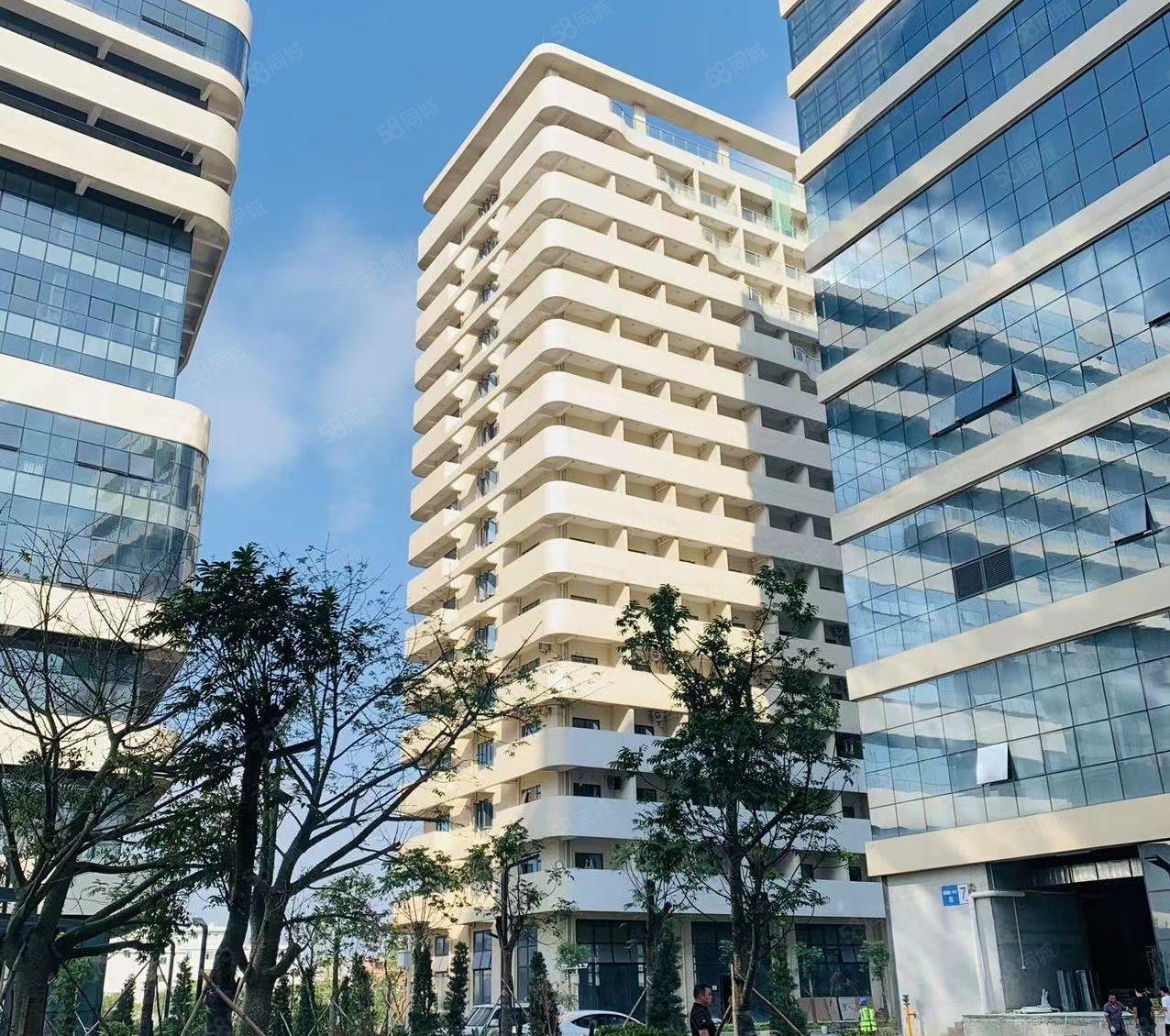 南城原房东厂房出租，每层2200平方，高新产业园，工业用地