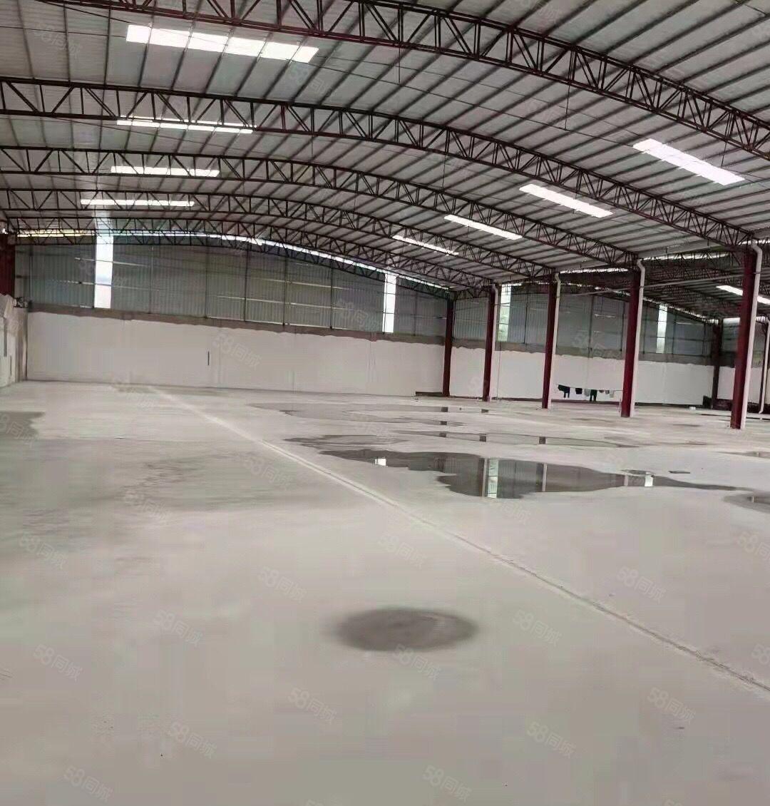 南城白马2600平方独门独院全新单一层低价出租