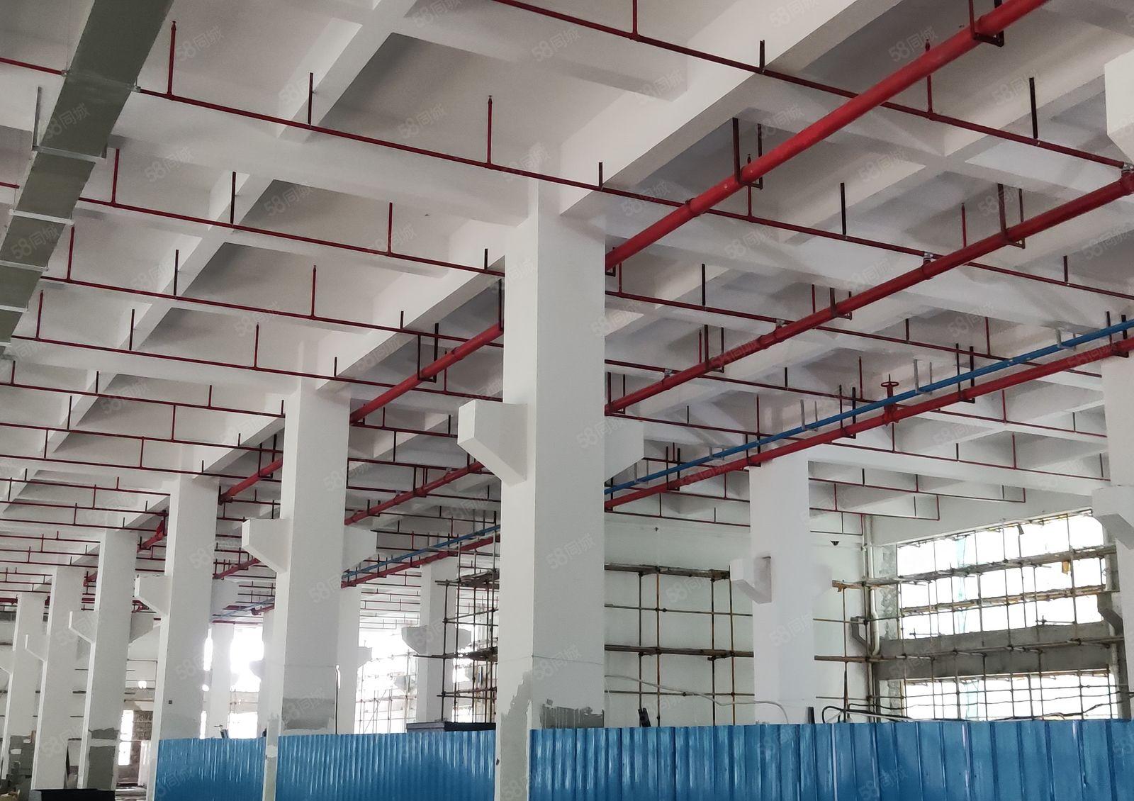 政府项目 智盈科技园 全新高标厂房出租可环评 720