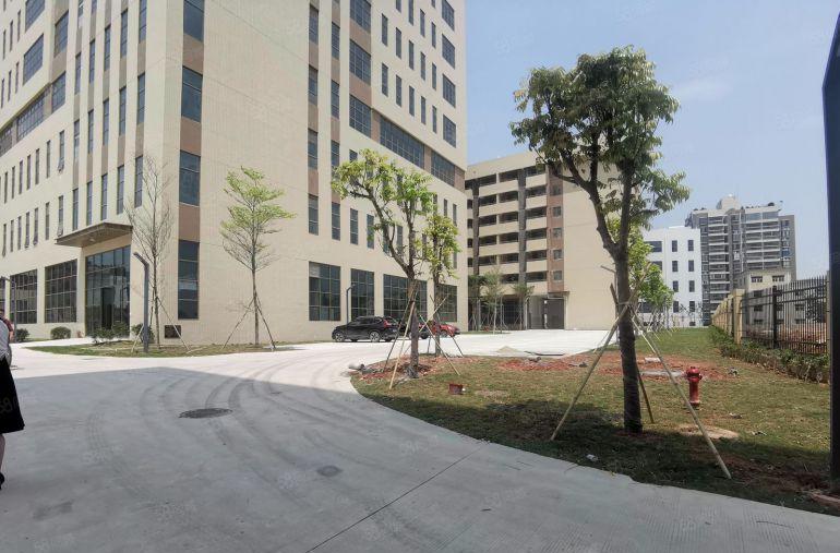 500起分南城体育馆园区厂房仓库出租一楼18元楼上9元带装修