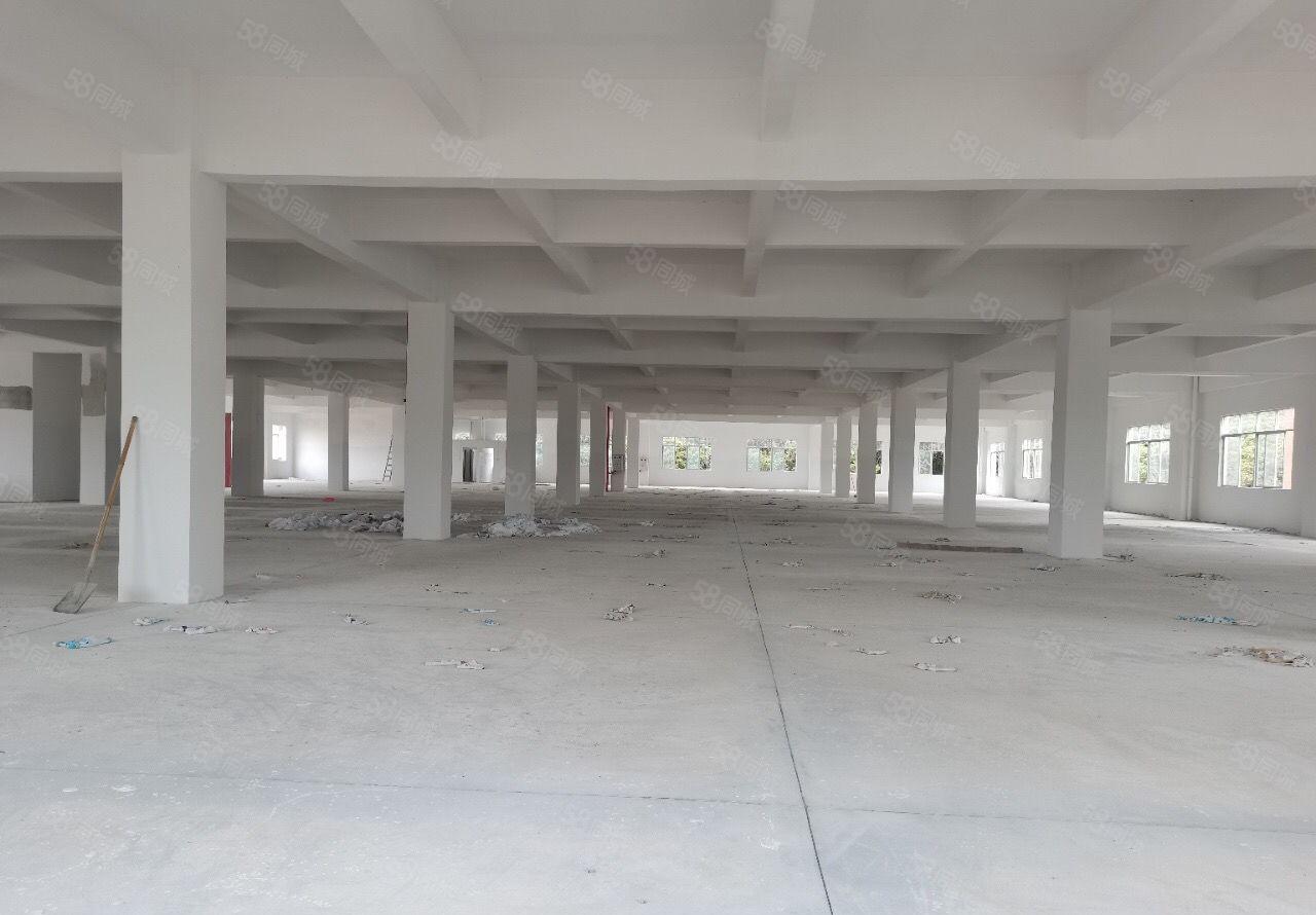 可分租靓厂房，南城新出标准厂房 适合电子设备仓库