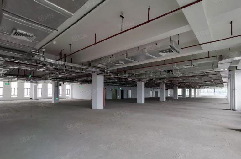 东莞原房东厂房 手持红本 智造 M1工业地 带消防