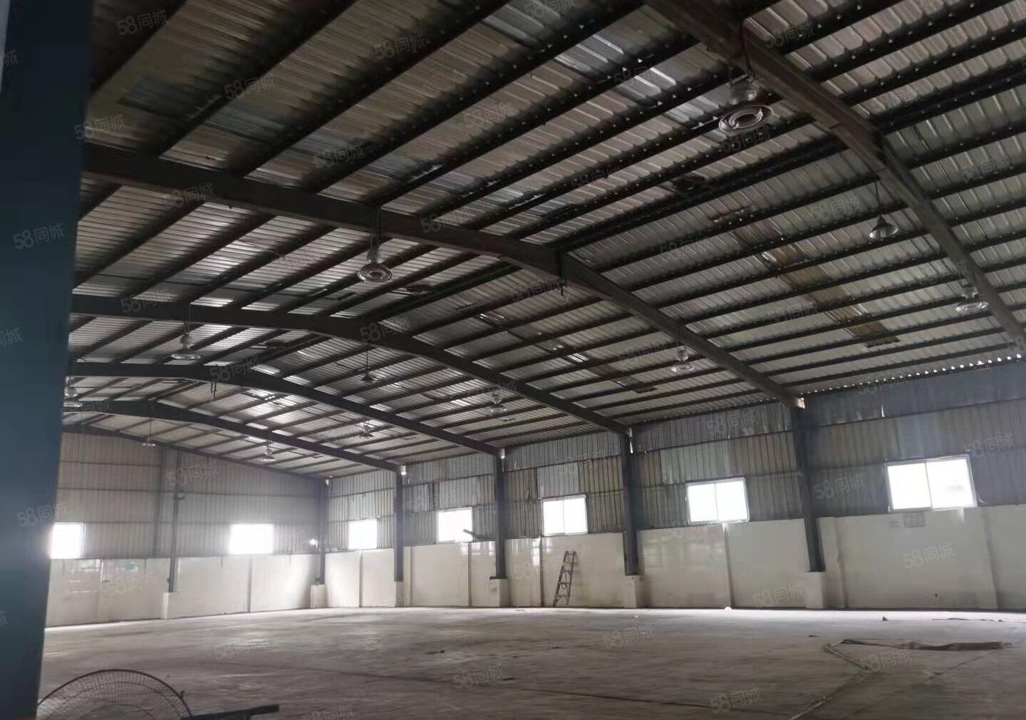 南城白马2600平方独门独院全新单一层低价出租