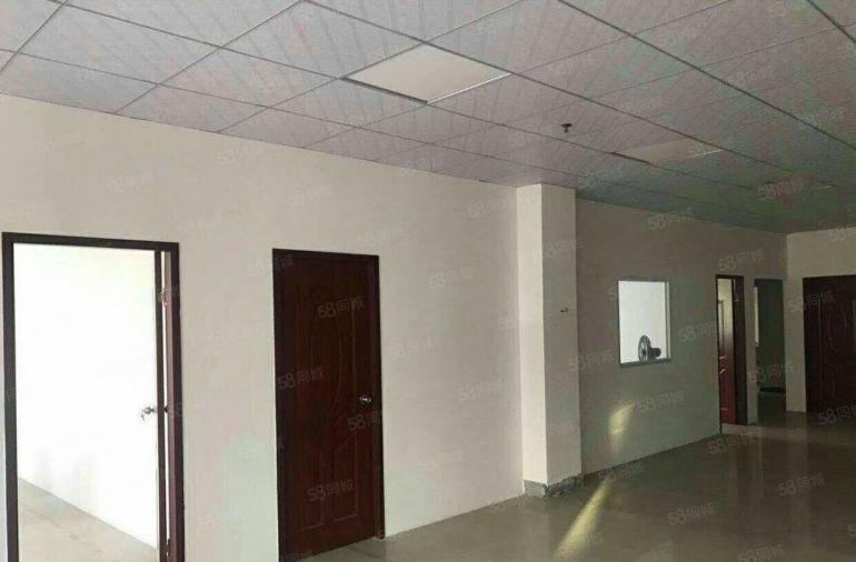 南城 白马 即将空出 二楼整层 600平方，精装修，九成新