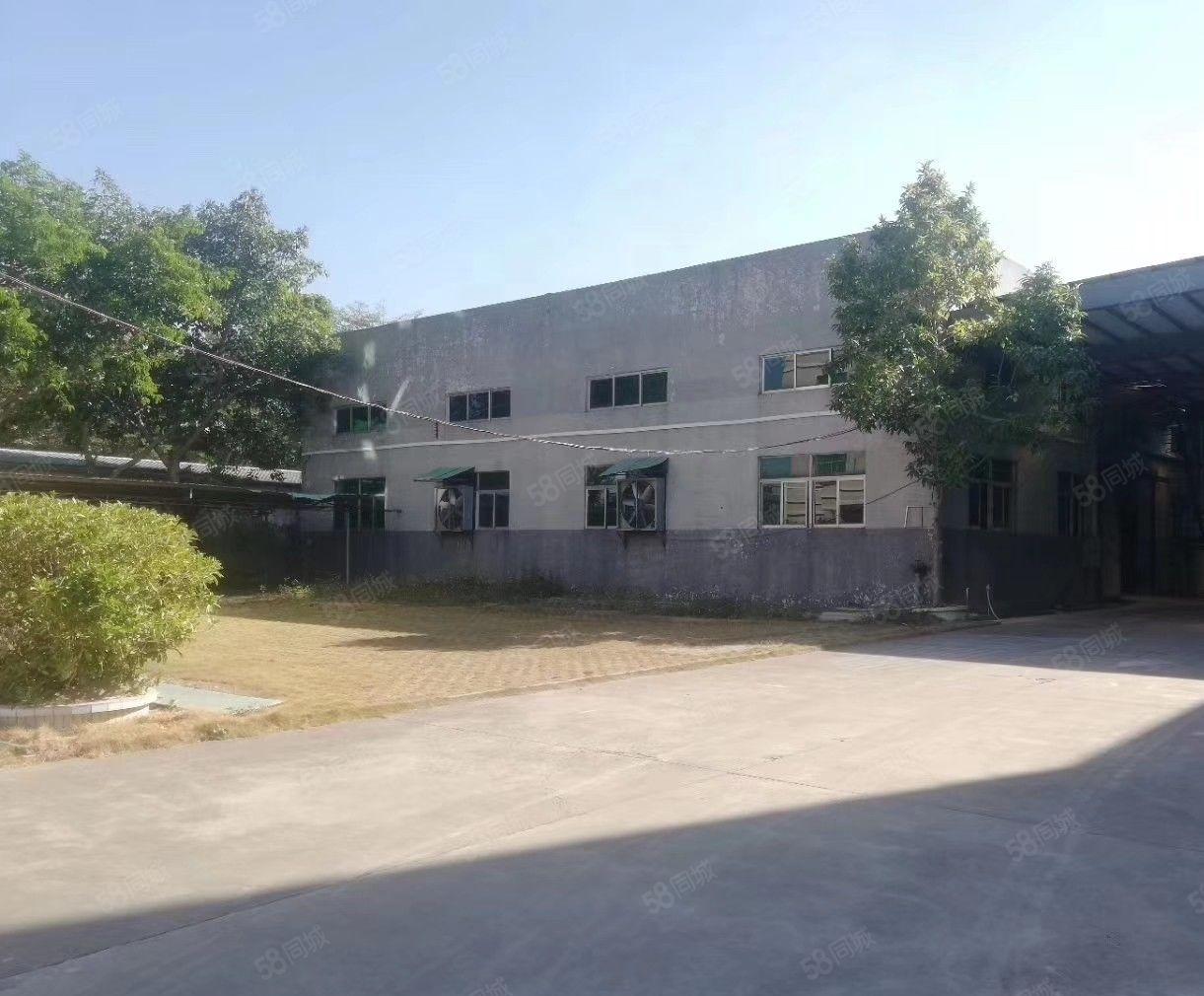 南城 西平 独院厂房 700平方出租,形象好.租金便宜