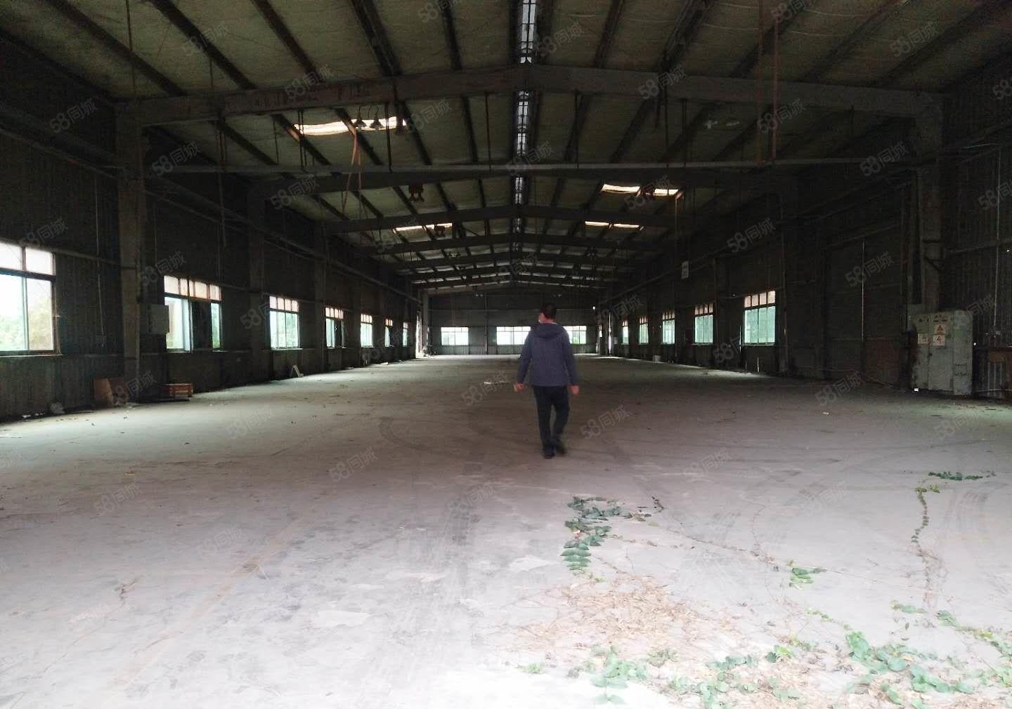 南城车站 带卸货平台 仓库出租 800平方,停车免费！