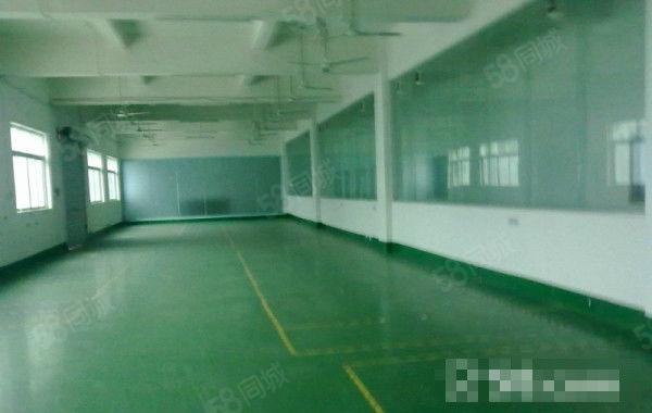 上午新出 南城 独院 厂房招租1000平,现成装修形象好