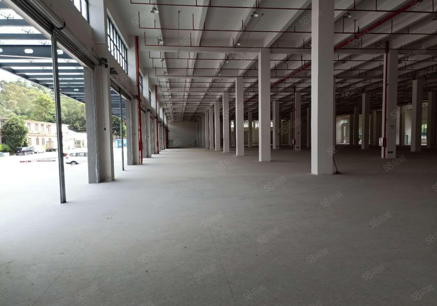 南城新空出单一层厂房仓库4000方形象好交通方便