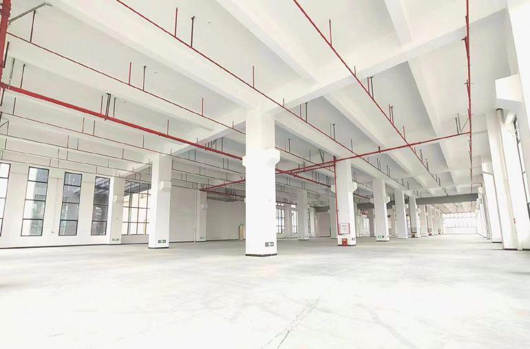 南城全新厂房9.9元出租，适合电子医疗机械重工等各行业空地大