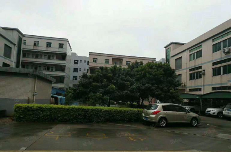 南城蛤地下周空出一楼厂房550平方，可做仓库