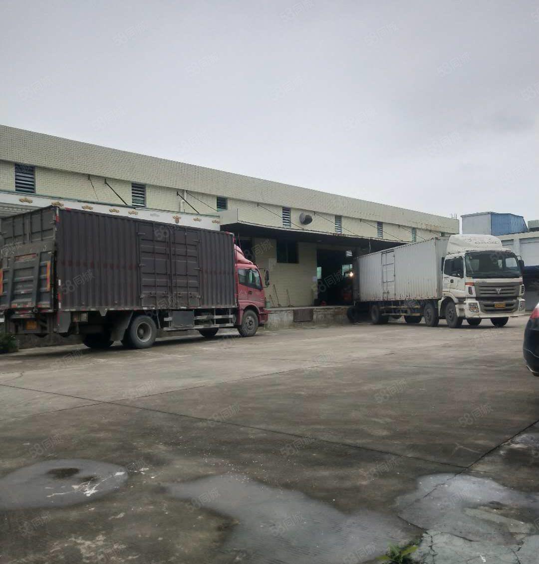 东莞南城新出标准物流仓库600平，交通便利