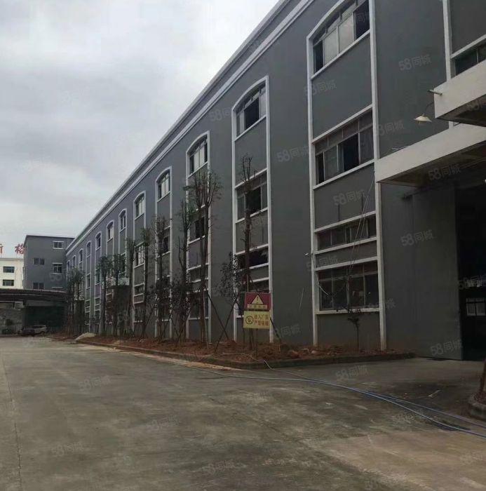 南城 蛤地 独院厂房 分租整层2000平方.现成装修