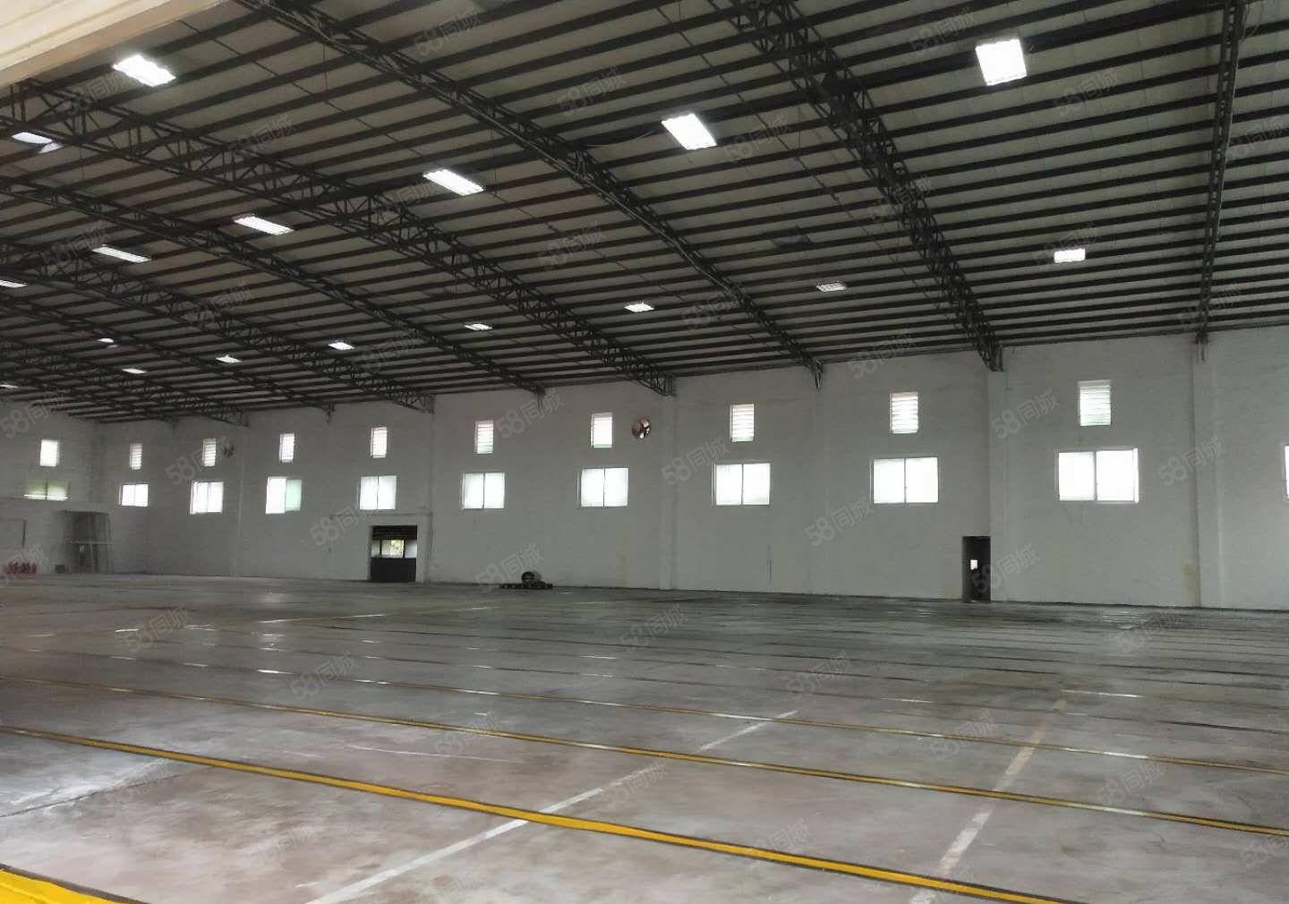 东莞南城新出标准物流仓库600平，交通便利