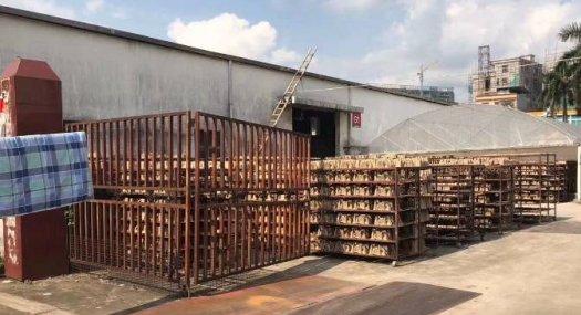 清溪镇三中独院单一层钢构3500平，高8米空地超大