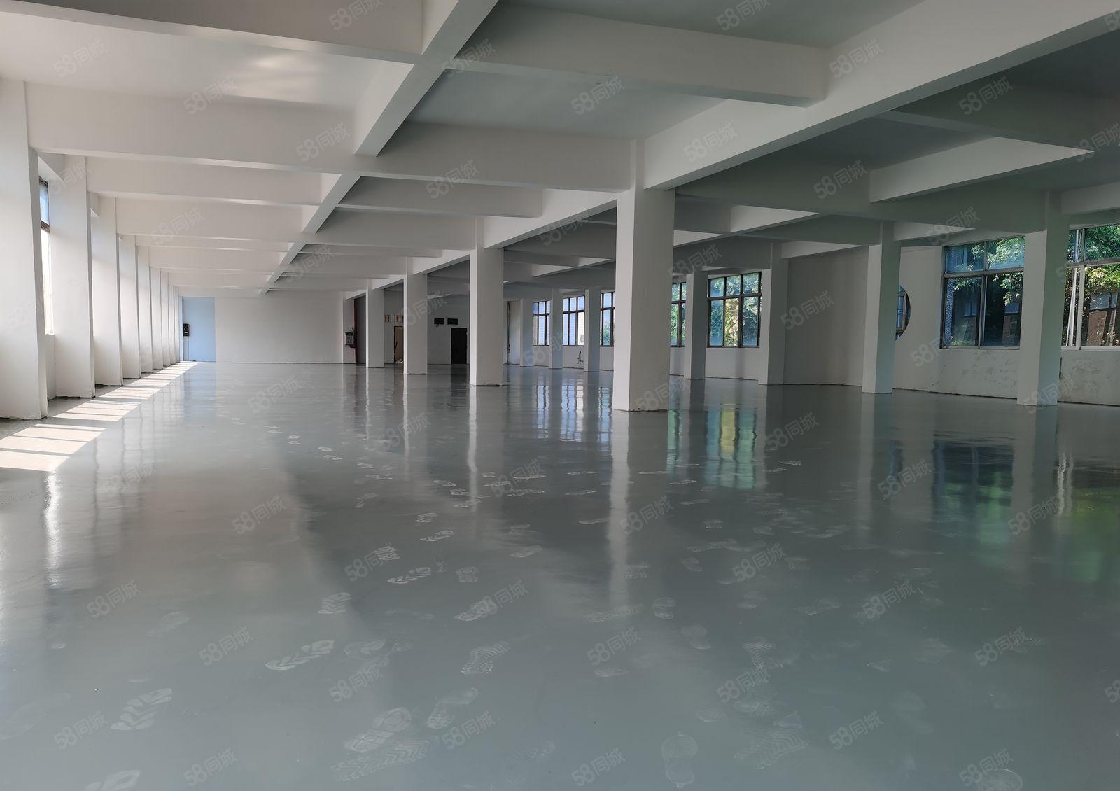 东城周屋新空出三楼2600平方现成全新地坪漆