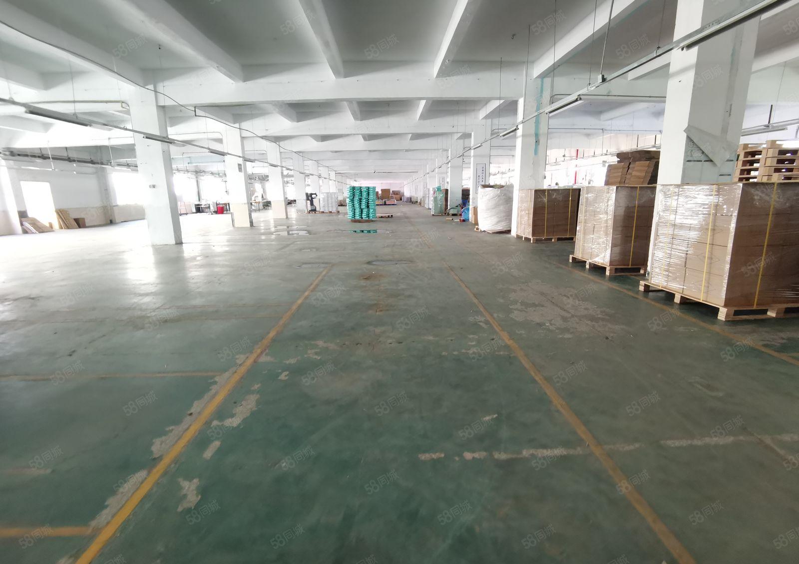 东城周屋一楼1200，2300平，二楼2000平，1860平