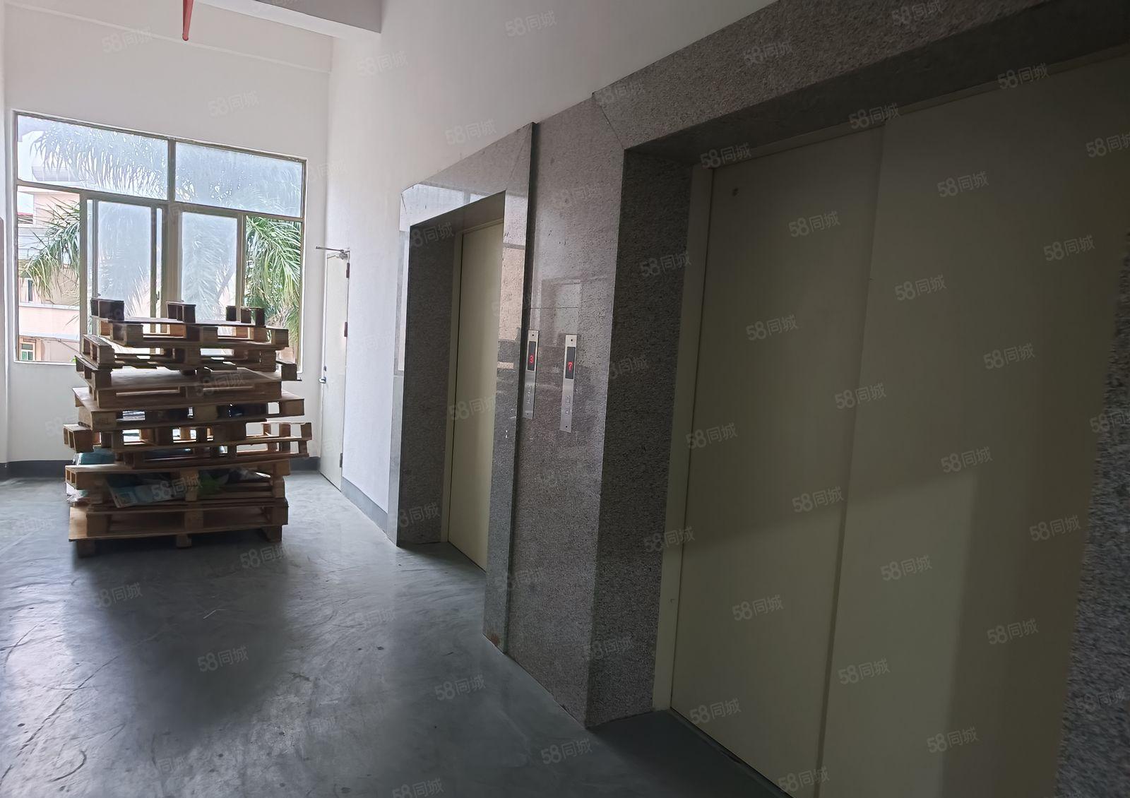 原房东独院厂房出租独栋厂房重工业厂房花园厂房精装修厂房