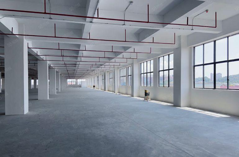 房东直租非中介！9块9一平配10吨电梯和牛角