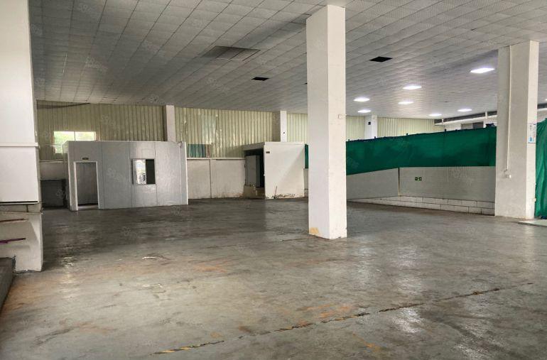 桑园工业区8米高单一层低价出租，带现成办公室