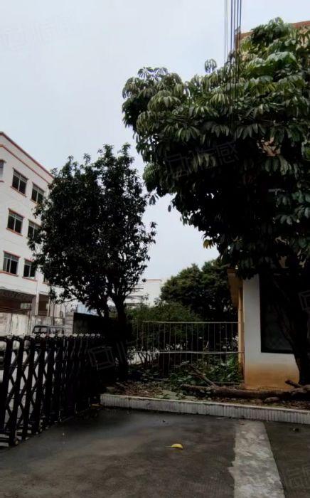 温塘独院单一层2800平方厂房出租带蒸汽燃气现成装修10米高