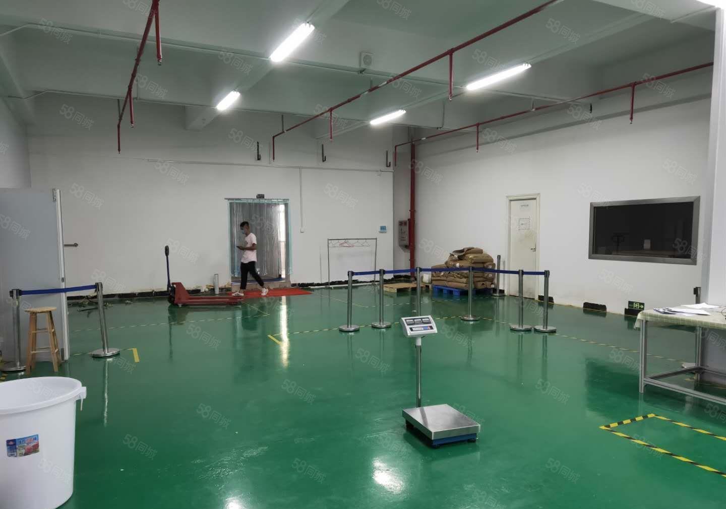 竹园新空出一楼全新无尘车间400方出租，楼高5.5米。