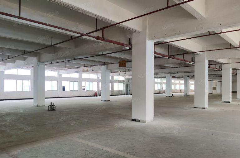 厂房位于东城成熟工业区，交通便利，易招工。空地超大。